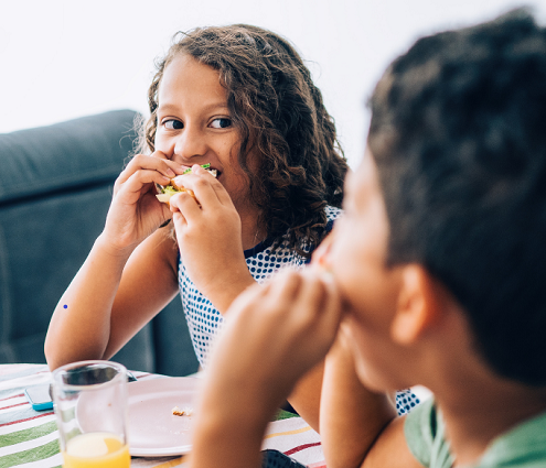 Holiday school meals scheme image
