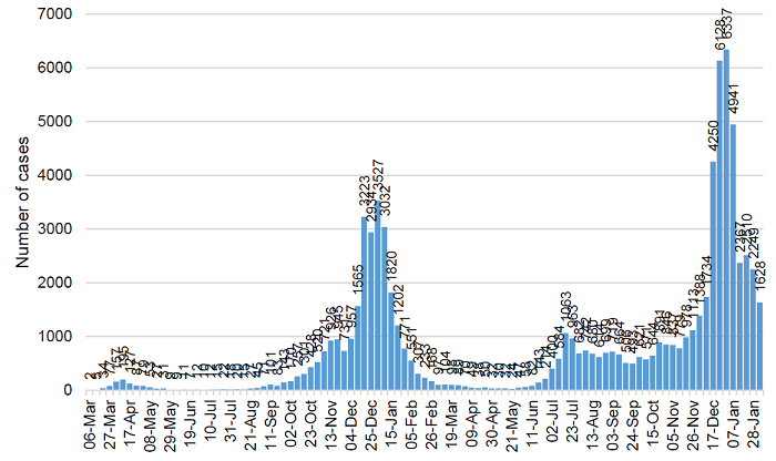 COVID infections graph 4 Feb 2022