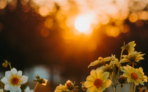 Day of reflection image