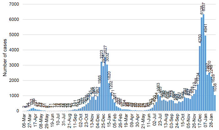 Covid infections graph 11 Feb 2022