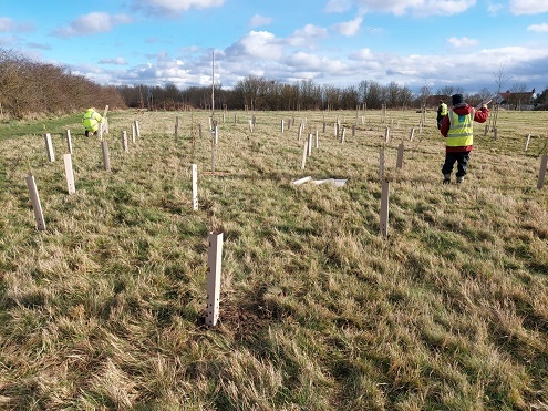 Hornchurch Country Park memorial woodland planting Feb 2022