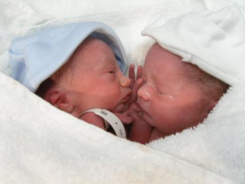 twin newborn babies