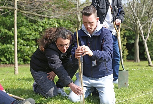 Tree planting at Havering 6th Form Mar 2022