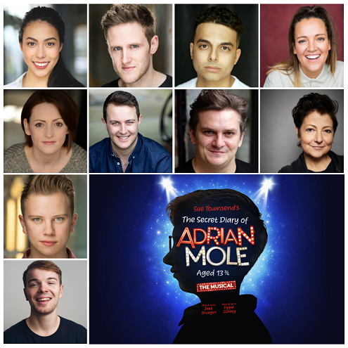 Adrian Mole poster