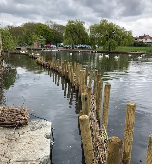 Harow Lodge Park lake work May 2022 
