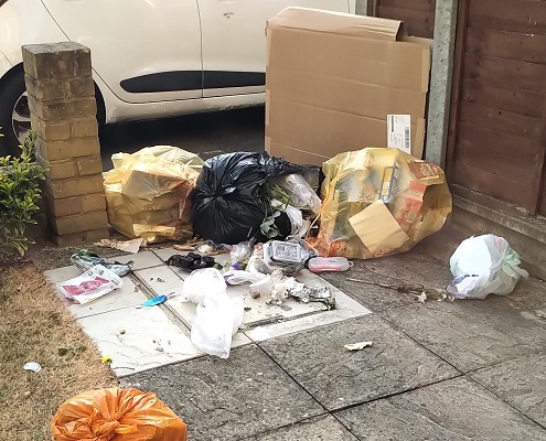 Rubbish bags ripped open by foxes