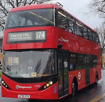 174 bus