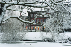 Langtons in the snow