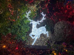 Havering Christmas Land