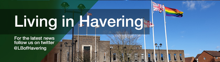 Living Masthead Langtons Town Hall sunshine pride flag