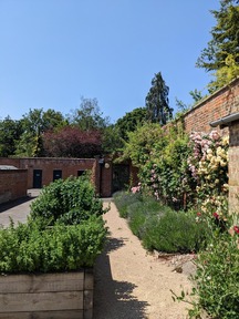 Bedford Park Walled Garden - winner
