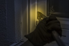 Night time burglary