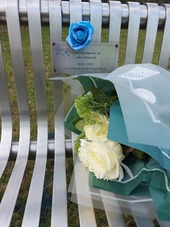 Benches in central park