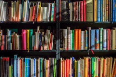 Colourful books on a library bookcase