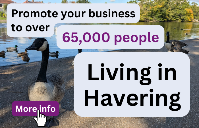 Advertise in Living in Havering 4