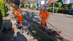 Environment team sweeping leaves for Where We Live