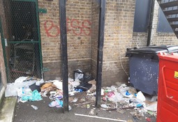 Ghai Properties Ltd littering prosecution case