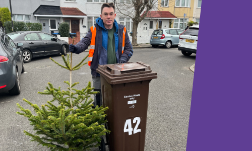 A worker holding a Christmas tree and rubbish bin