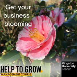 Kingston Help to grow