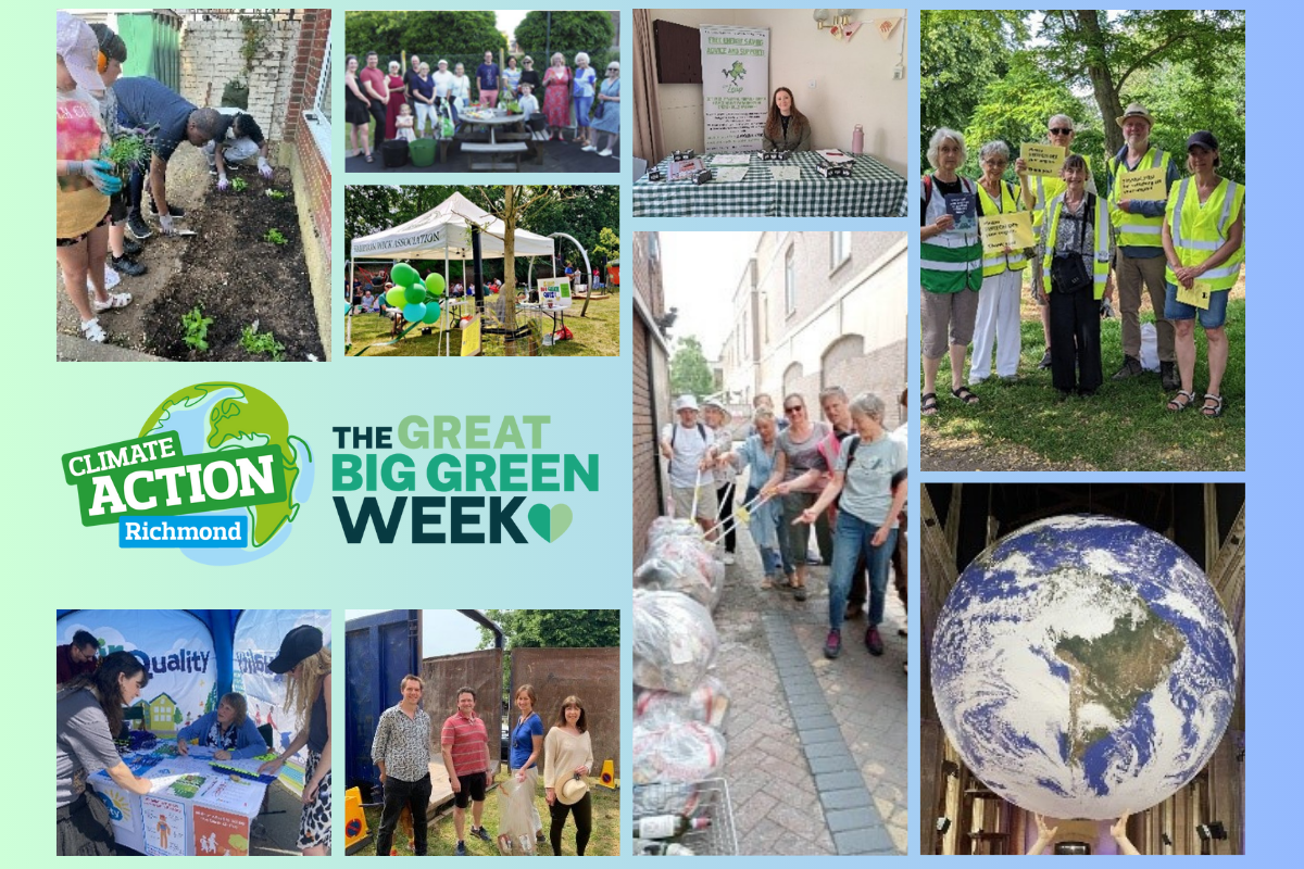 great big green week community event photo collage