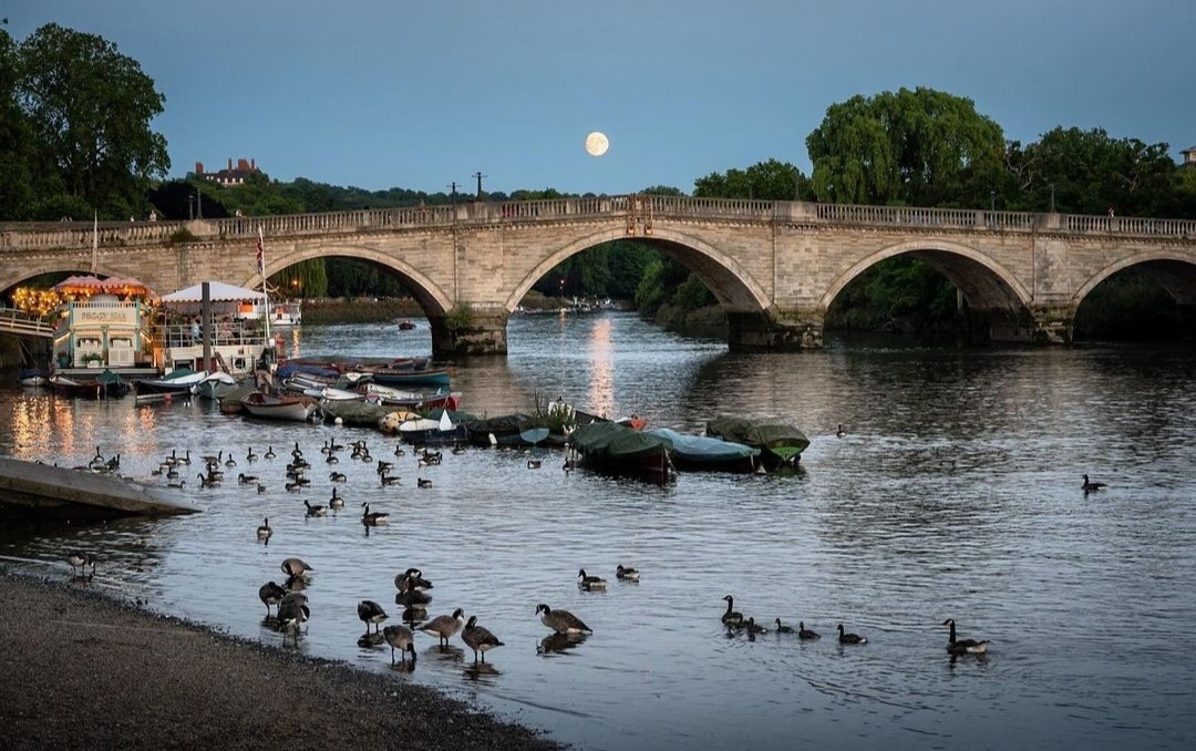 Richmond Riverside by nick365