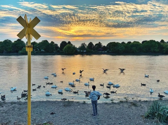 Barnes by @wildlondonpics