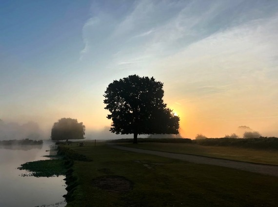 Bushy Park photosbybroma