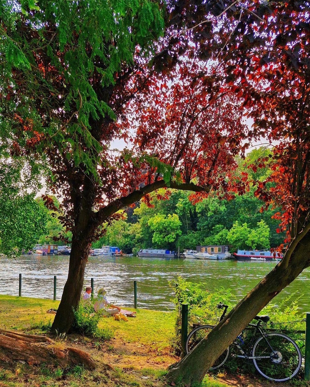 Richmond Riverside by em.k_photography