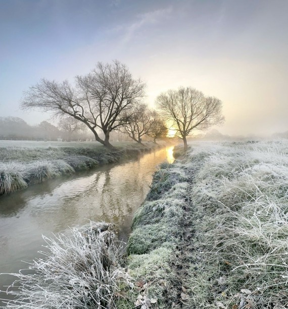 A wintry Richmond Park in early morning frost