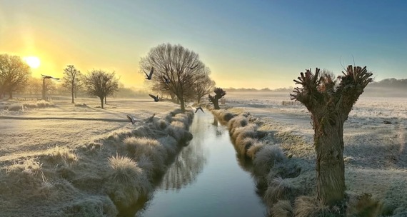 Richmond Park on a frosty morning by @mandsby