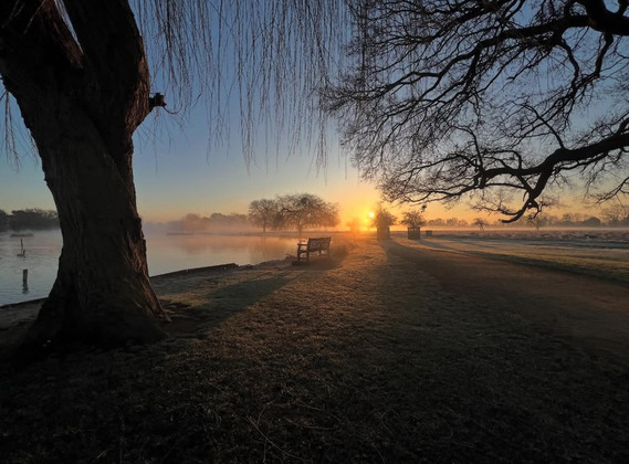 Sunrise in Bushy Park