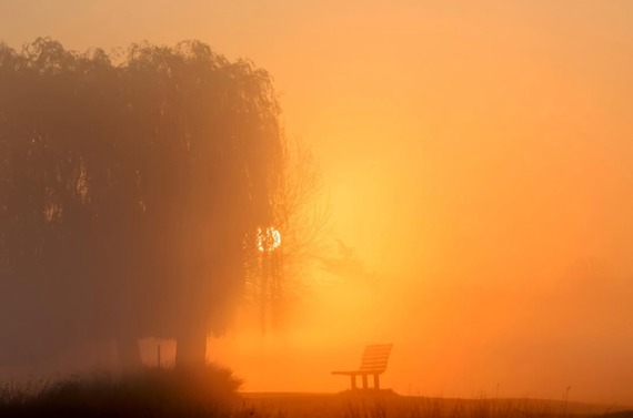 Bushy Park by @suelind7