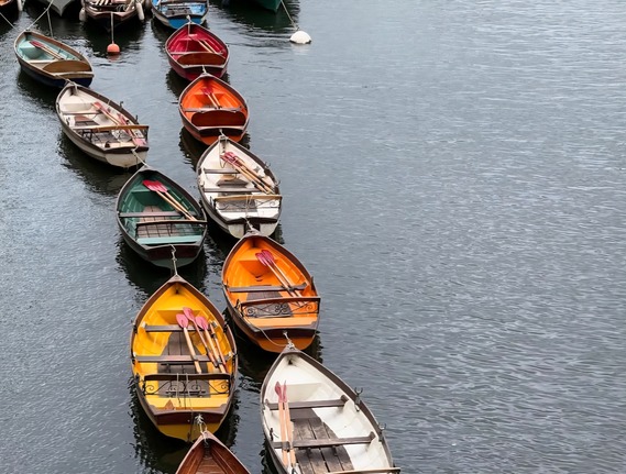 bluetrees132 Richmond Riverside