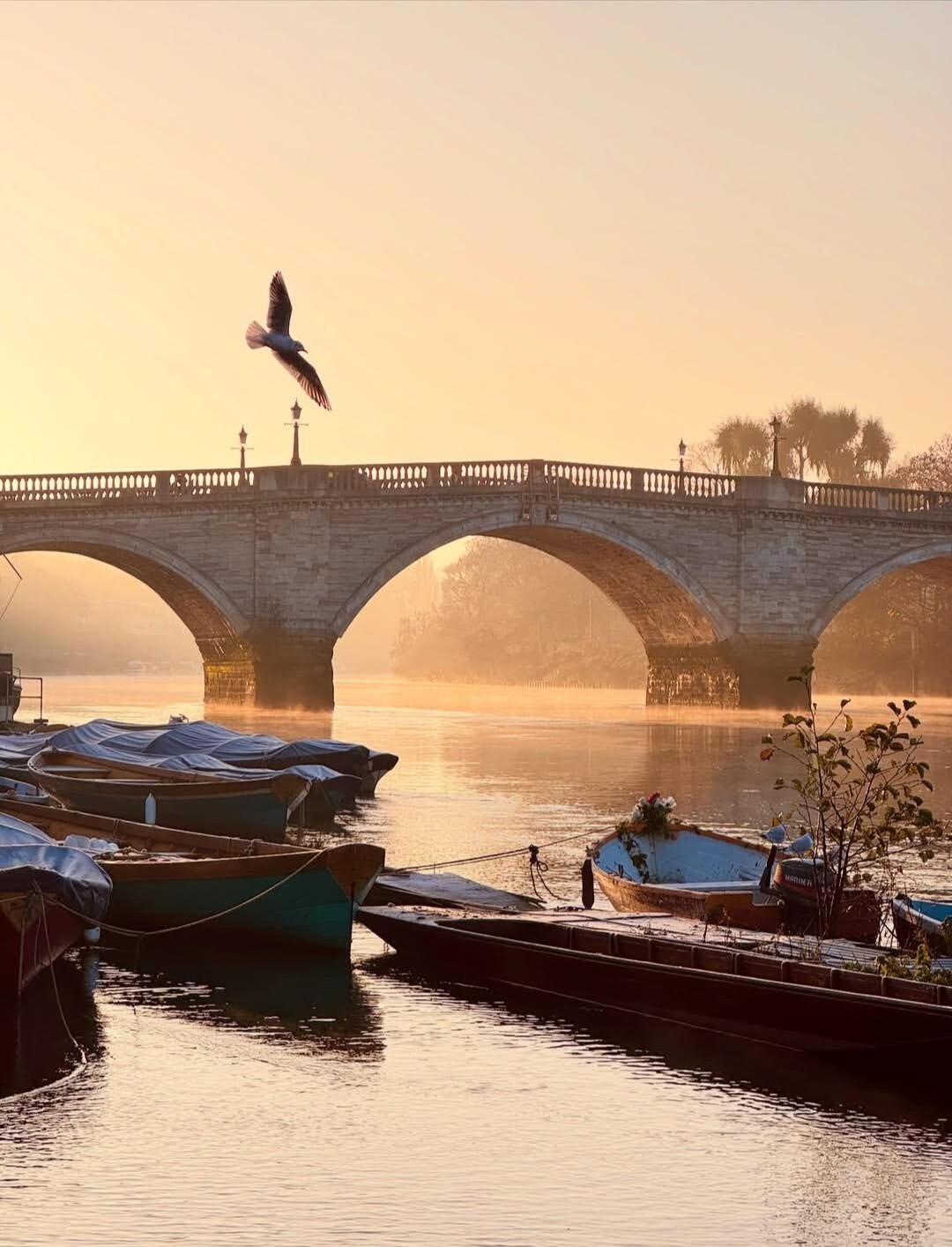 simostill Richmond Riverside