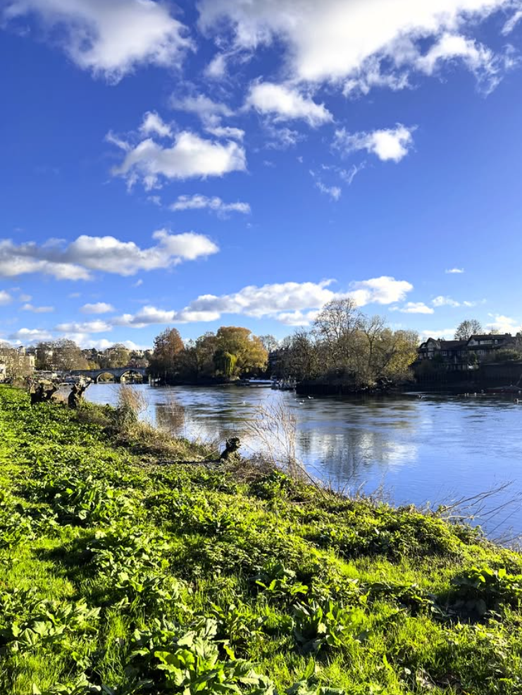 Richmond Riverside by @dr.bab.uk