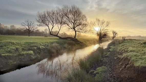 Richmond Park sunrise @mandsby