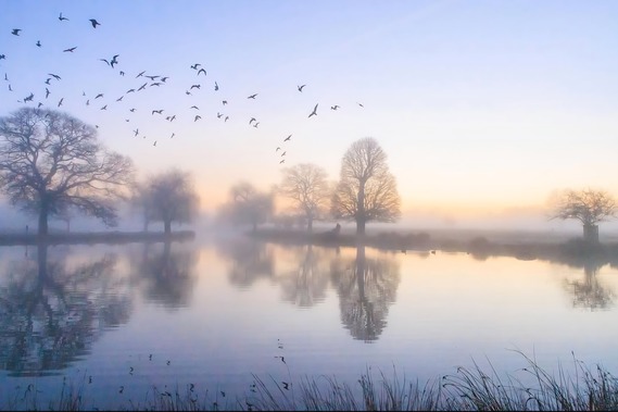 suelind7 misty 14/01/26