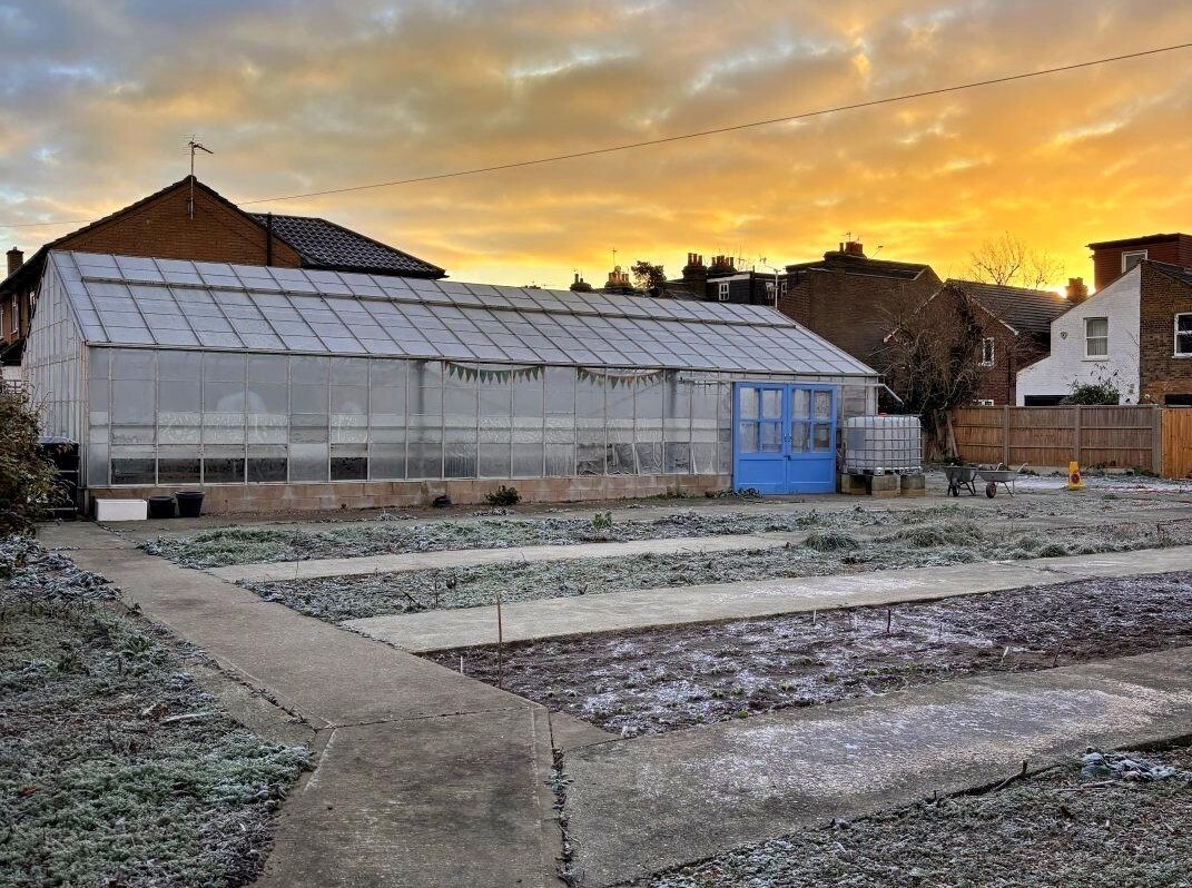 Grimwood Road Garden