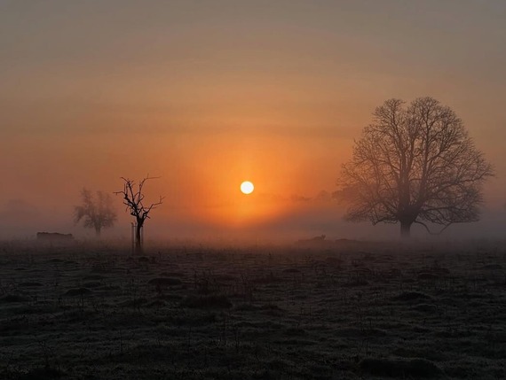 Bushy Park, photosbybroma