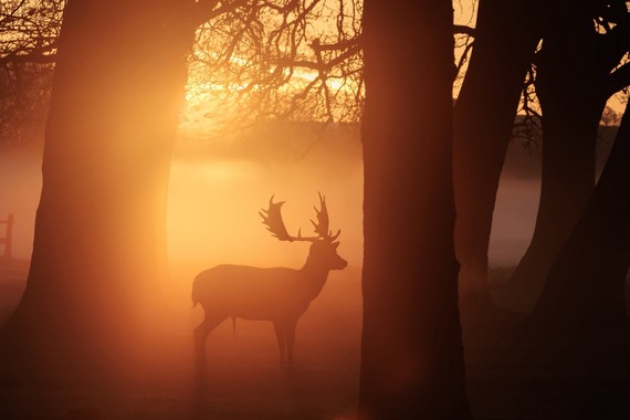 POTW Sue Lindenberg 19 March