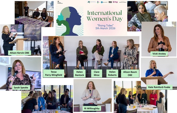 IWD review