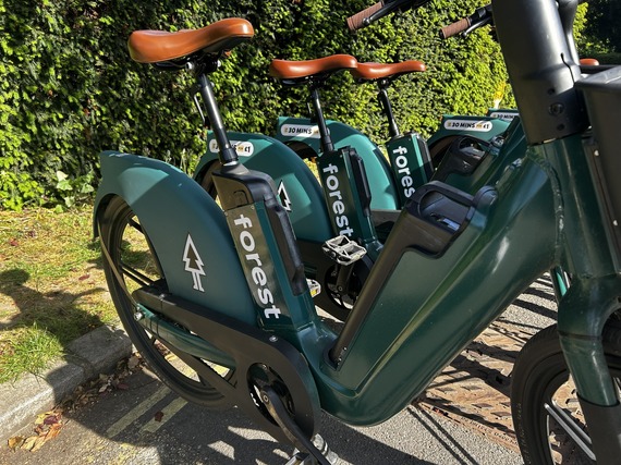 Forest bikes