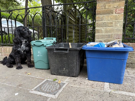 BH Bins