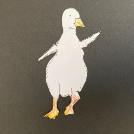 duck