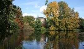 Image of lake and trees in Battersea Park