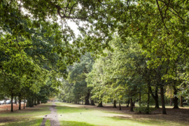 Tooting Common
