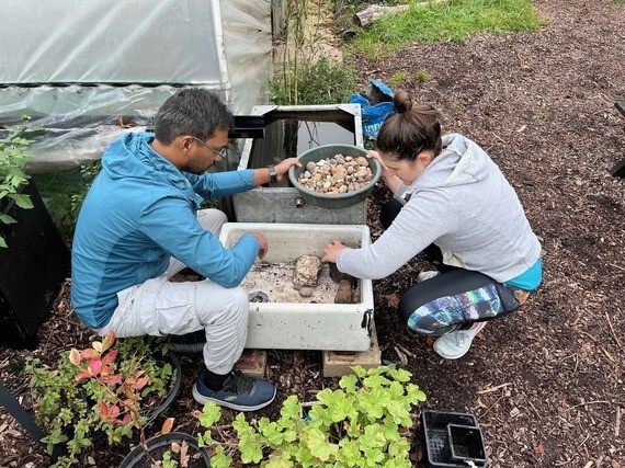 People planting in a garden, photo from the Paradise Co-Operative, Microgrant Project 2024