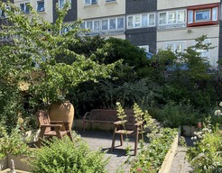 Image of a garden - Sustainable September