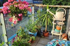 Wandsworth in Bloom