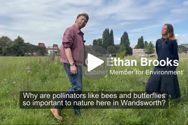 Biodiversity Video  